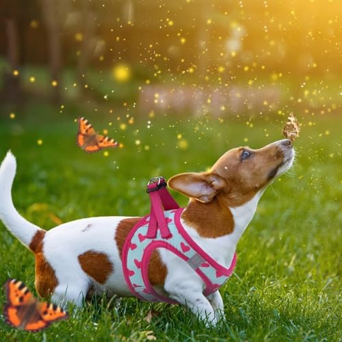 KOOLTAIL Valentines Dog Harness and Leash Set - Image 6