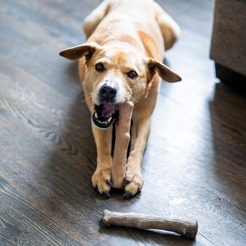 Dogwood Calming Stick Dog Chew Toy - Image 6