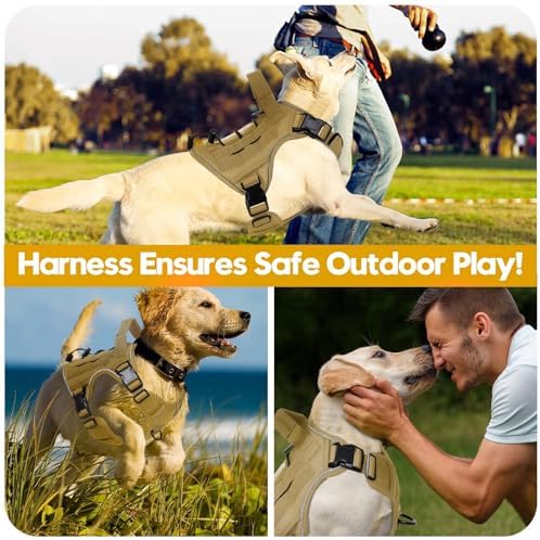Heavy-Duty Tactical Dog Harness - Image 6