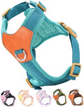 Blue Small Dog Harness for Small Dogs, No Pull Dog Harness by SOLMOONY
