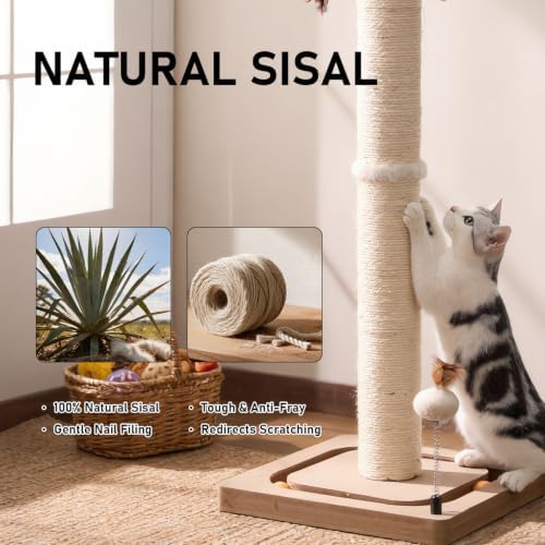 PEEKAB Cat Scratching Post for Indoor Adult Cats and Kittens, 33 Inches Tall - Image 5