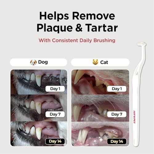 JAYU PET Dental Care Brush, Soft Bristles - Image 3