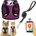 Dog Harness with AirTag Holder & 5 ft Leash Set by JVVGPET