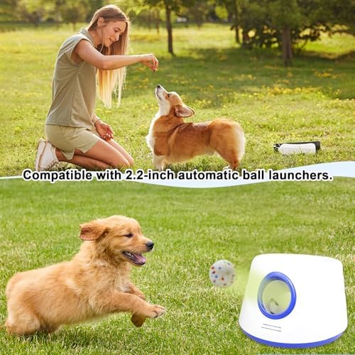6-Ball 2.2-Inch Dog Ball Replacement Set - Image 3