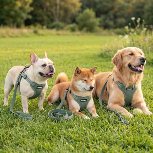 Best Pet Supplies Voyager Adjustable Step-in Flex Breathable Mesh Dog Harness - Image 6
