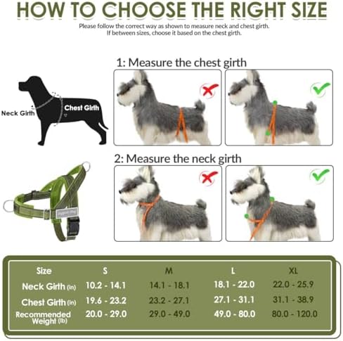 SlowTon No Pull Dog Harness and Leash Set - Image 6