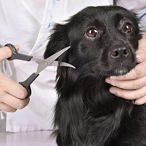 Chibuy Professional Dog Grooming Scissors Set, 2-Piece Kit - Image 6