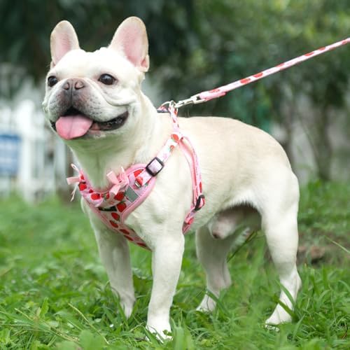 PUPTECK Dog Harness and Leash Set Small Sized, Step in No Pull Adjustable Puppy - Image 6