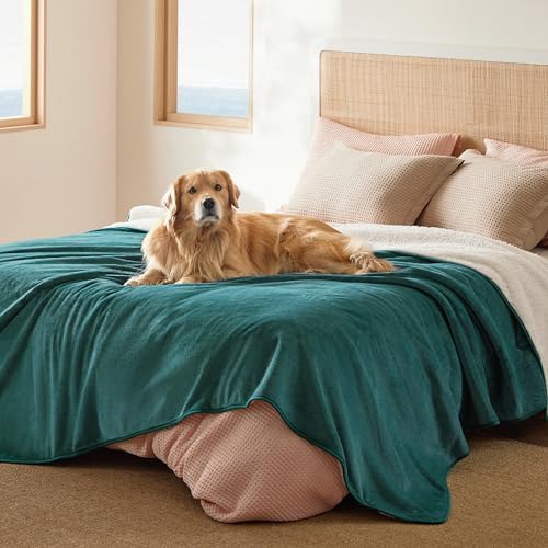 Bedsure Waterproof Blanket for Bed Soft Sherpa Fleece Throw, Queen 90x86 by BEDSURE