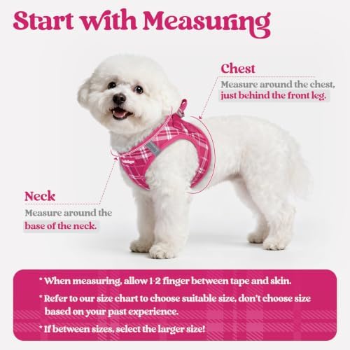 rabbitgoo Dog Harness Medium Sized and Leash Set, Step-in Puppy Pet Vest - Image 2