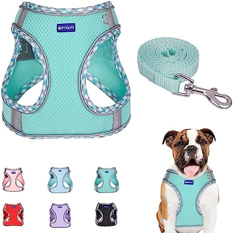 Step in Mesh Dog Harness and Leash Set Breathable Air Mesh Harness by BTDCFY