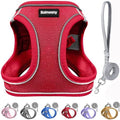 Solmoony Sparkly Small Dog Harness and Leash Set, Step in Soft Light Puppy Vest by SOLMOONY