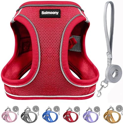Solmoony Sparkly Medium Dog Harness and Leash Set, Step in Soft Light Puppy Vest by SOLMOONY