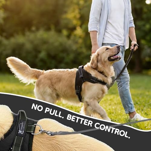 No Pull Reflective Adjustable Dog Harness - Image 6