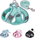 Solmoony Green Step-in Dog Harness & Leash Set, Vest by SOLMOONY