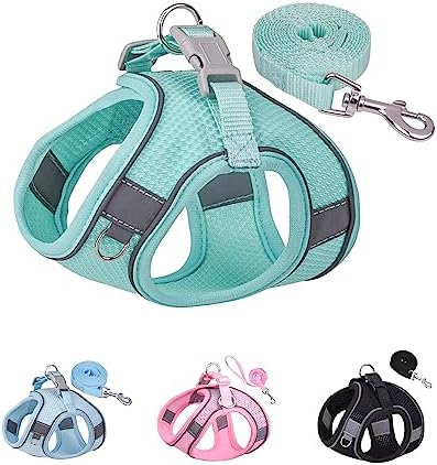 Solmoony Green Step-in Dog Harness & Leash Set, Vest by SOLMOONY