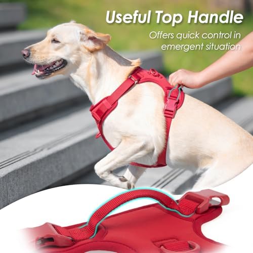 Sunraymascota No Pull Dog Harness - Image 3