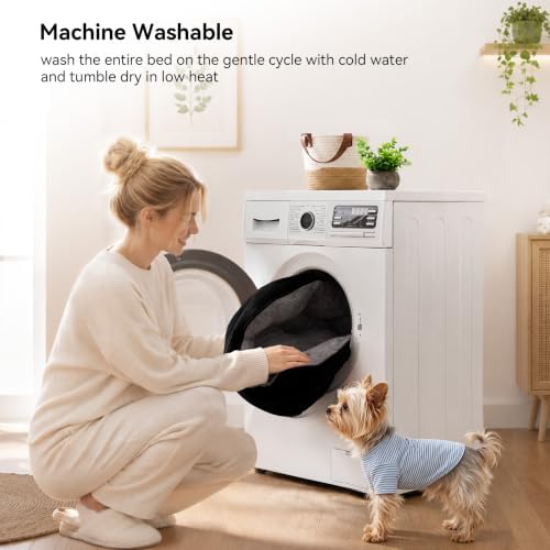 Asvin Small Dog Bed for Small Dogs, Cat Beds for Indoor Cats, Pet Bed for Puppy - Image 5