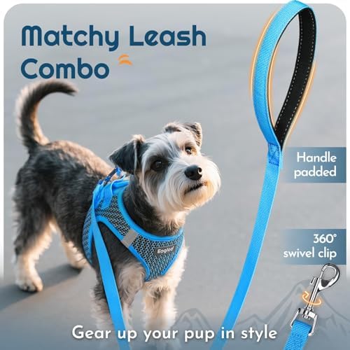 Eagloo Small Dog Harness and Leash Set, Step in Extra Small Puppy Pet Vest - Image 6