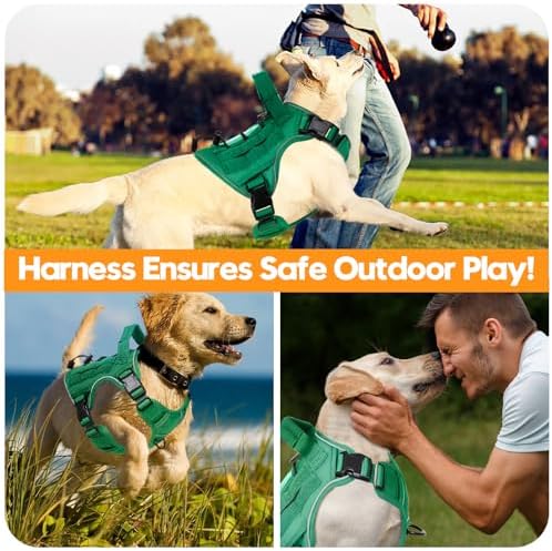 Heavy-Duty Tactical Dog Harness - Image 6