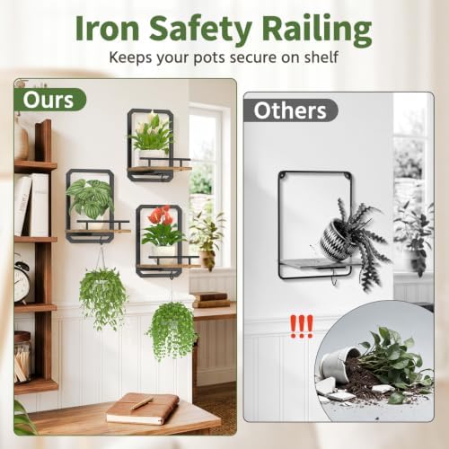 LASZOLA Plant Picture Frame Holder Shelf Wall Window Indoor - Image 3