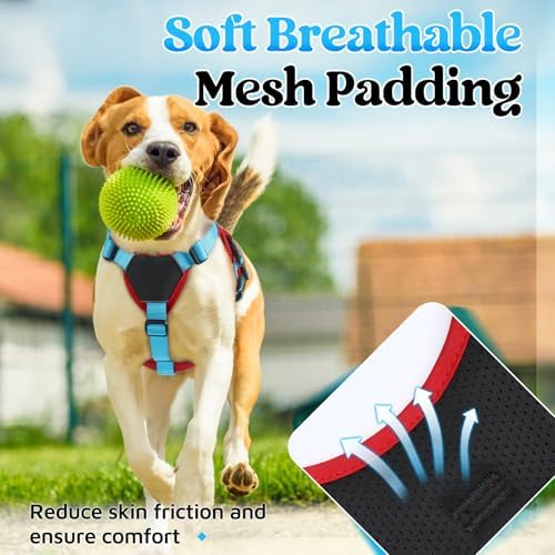rabbitgoo Escape Proof Dog Harness - Image 5