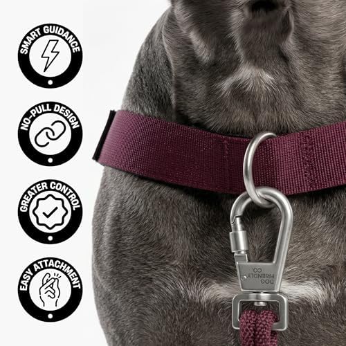 Dog Friendly Co. Front D-Ring Harness Attachment - Image 3