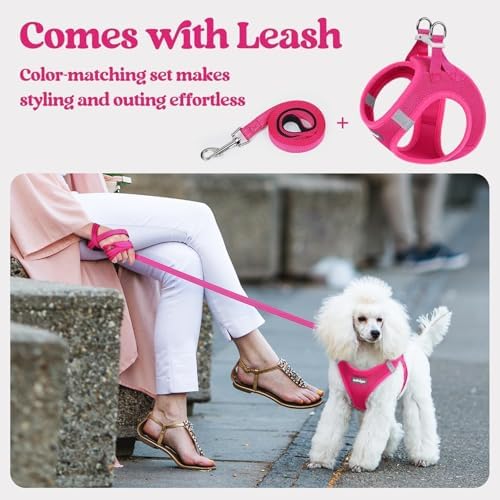 rabbitgoo Dog Harness Small Sized and Leash Set, Step-in Puppy Pet Vest - Image 6