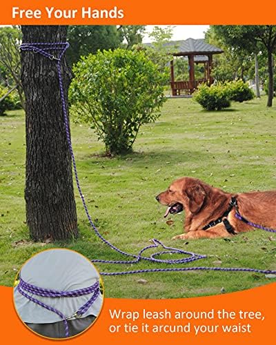 Long Rope Leash for Dog Training 16FT 30FT 50FT 100FT, Reflective Threads Check - Image 6