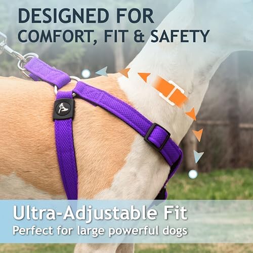 Kruz No Pull Dog Harness Heavy-Duty Pet Harness - Image 5