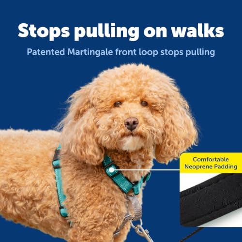 PetSafe Easy Walk 3 in 1 No Pull Dog Harness - Image 4