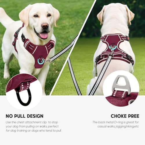 Timos Dog Harness, Front Clip No Pull Medium Sized - Image 5