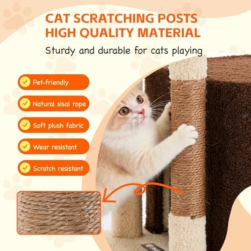 39.8-Inch Small Cat Tree for Indoor Cats - Image 5