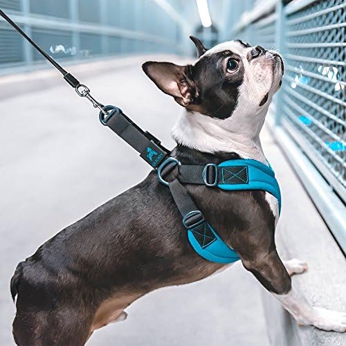 Gooby Escape Free Sport Dog Harness, Choke-Free - Image 3