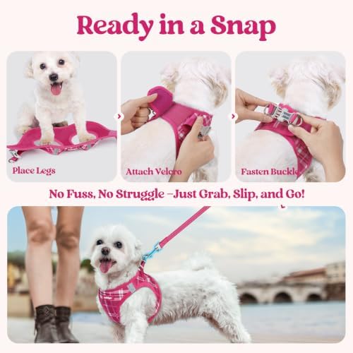 rabbitgoo Dog Harness Medium Sized and Leash Set, Step-in Puppy Pet Vest - Image 5