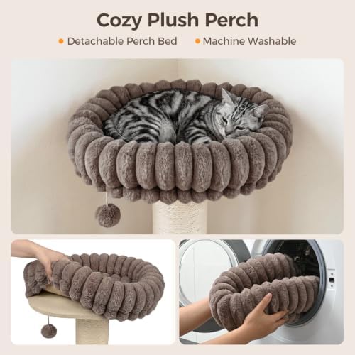 Avont Modern Cloud Cat Scratching Post - Image 6