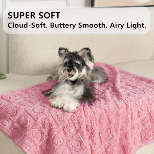 gogobunny Large Pet Blanket for Dogs Cats, Ultra Soft 300GSM Coral Fleece - Image 3