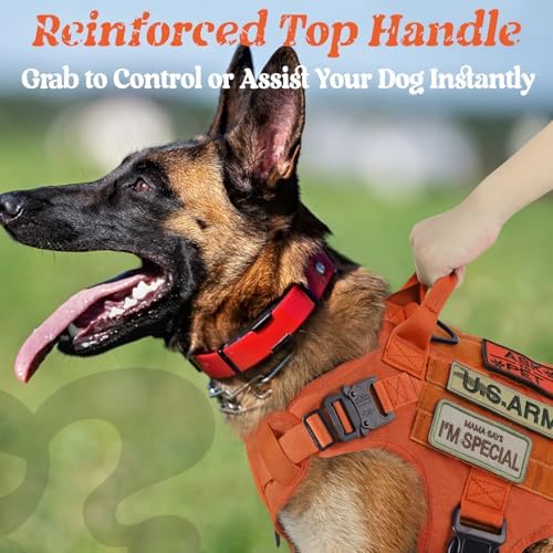 rabbitgoo Tactical Dog Harness for Large, Heavy Duty Military No Pull Vest - Image 4