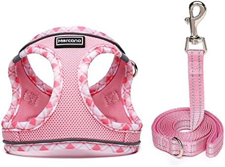 Mercano Soft Mesh Dog Harness and Leash Set, Step-in Reflective Breathable - Image 2