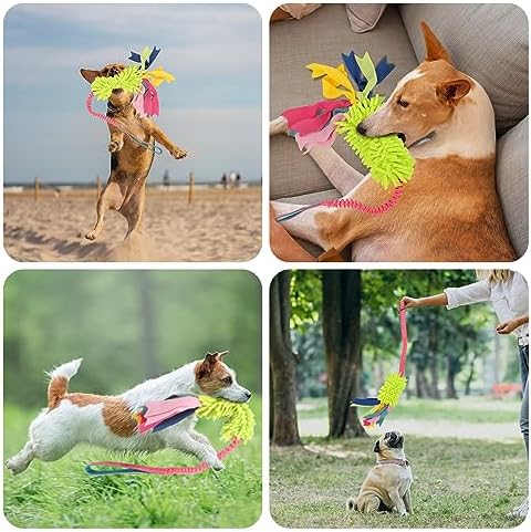 wodoca Dog Tug Toys - Image 4