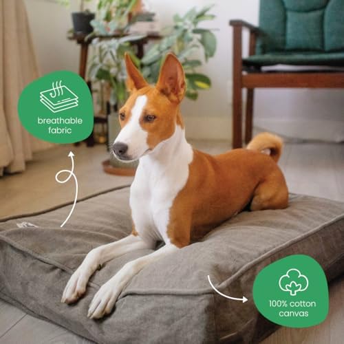 Molly Mutt Gray Dog Bed Cover, Non-Toxic & 100% Cotton - Image 4