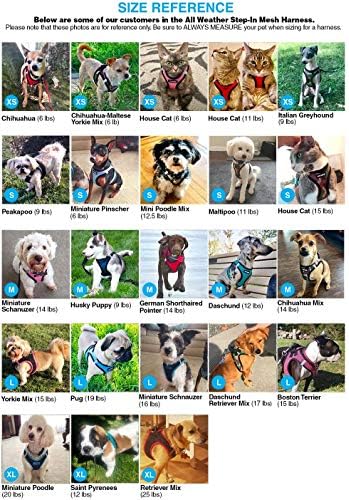 Voyager Step-in Air Dog Vest Harness - Image 3