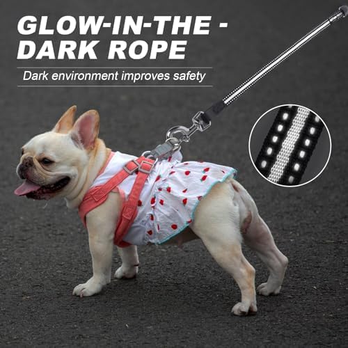 Retractable Dog Leash 20 FT Cord - Image 6