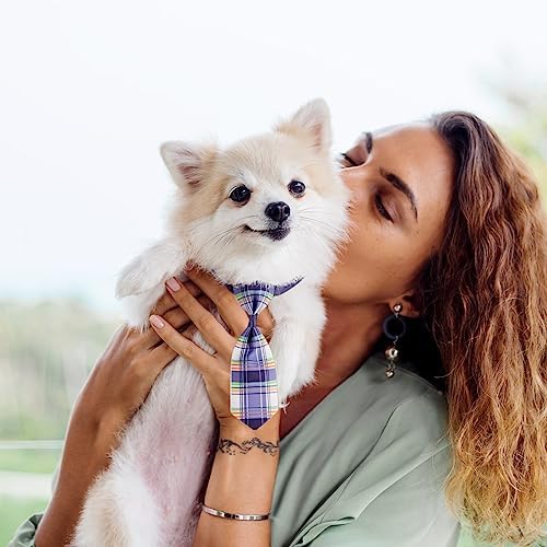 Segarty Small Dog Ties, 40 PCS Assorted Pattern Adjustable Pet Bow Ties for Small Dogs Bows Cats Grooming Bowties Puppy Neckties Festival Party Valentine Photography Holiday Costumes Birthday Gift - Image 5