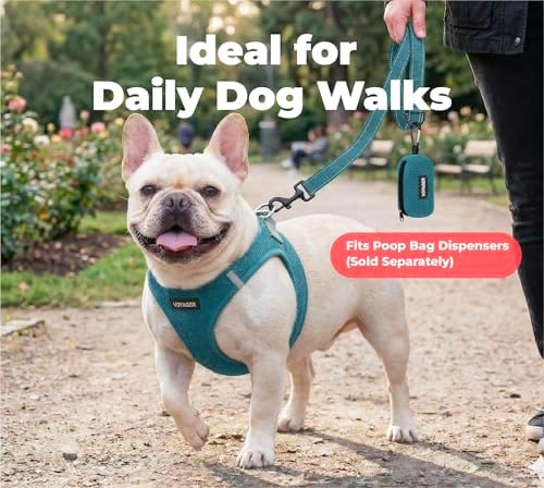 Best Pet Supplies Voyager Nylon Dog Leash - 6ft Turqioise - Image 3