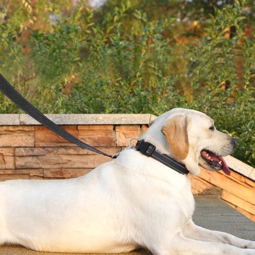 6 FT Basic Dog Leash for Large Dogs - Image 3