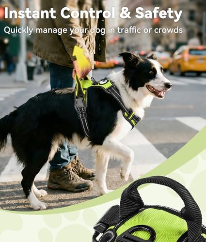Joytale No Pull Dog Harness for Extra Large Dogs, Front Clip - Image 3