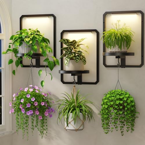 LASZOLA Plant Picture Frame Holder Shelf Wall by LASZOLA