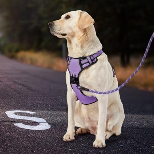 IVY&LANE No Pull Dog Harness for Small Dogs, Reflective Dog Vest Harness - Image 7