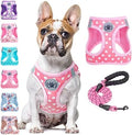 BEAUTYZOO Dog Harness Medium Sized and Leash Set, No Pull Pet Vest by BEAUTYZOO